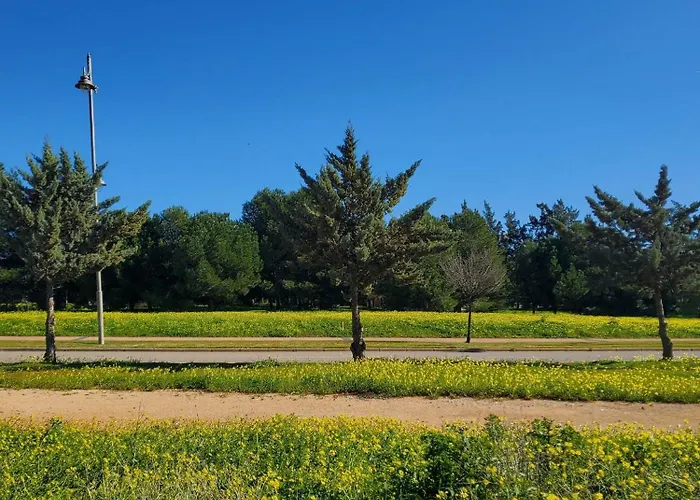 Prestige & Nature In Laguna Village